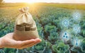 Money bag on the background of agricultural crops in the hand of the farmer. Agricultural startups. Profit from agribusiness. Royalty Free Stock Photo