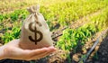 Money bag on the background of agricultural crops in the hand of the farmer. Agricultural startups. Profit from agribusiness.