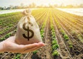 Money bag on the background of agricultural crops in the hand of the farmer. Agricultural startups. Profit from agribusiness. Royalty Free Stock Photo