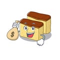 With money bag castella cake isolated in the cartoon