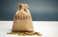 Money bag and coins with the word Salary. The concept of accumulation of wages. Saving profits and income. Payroll. Financial Royalty Free Stock Photo