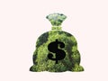 Money bag with dollar sign and money tree growing out of top isolated on white background Royalty Free Stock Photo