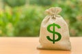 Money bag with dollar symbol on a nature background. Business, budget, financial transactions. Attracting investment to