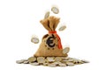 Money bag and falling euro coins on pile of coins - Concept of finance and earnings