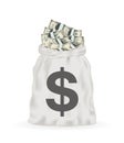 Money bag full of dollar banknotes vector Royalty Free Stock Photo