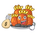 With money bag orange coral reef toys shape cartoon