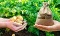 Money bag and potatoes in the hands of a farmer. Calculation of profits and results of the harvest. Investment in farming,