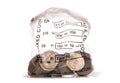Money bag of sterling twenty pence coins Royalty Free Stock Photo