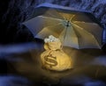 Money bag under umbrella