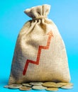 Money bag with up arrow. Successful business concept. Profitability and performance. Increase Income and Profit. Capital, budget Royalty Free Stock Photo