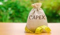 Money bag with the word Capex  capital expenditure  and tape measure. Capital used by companies to acquire or upgrade physical Royalty Free Stock Photo