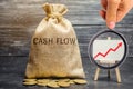 A money bag with the word Cash Flow and a chart with an up arrow. Financial planning. Financial management concept. Analysis of