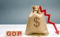 Money bag with the word GDP and down arrow. Decline and decrease of GDP - failure and breakdown of economy and finances leading to