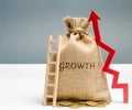 Money bag with the word Growth, Ladder and Up Arrow. The concept of high performance business. Career ladder. Increase profit and Royalty Free Stock Photo