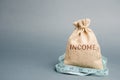 Money bag with the word Income and measuring tape. Reduced revenue and profits. Reduced budget. Loss of money. Unsuccessful