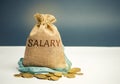 Money bag with the word Salary and tape measure. Wage cuts. The concept of limited profit. Lack of money and poverty. Small income Royalty Free Stock Photo