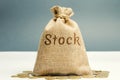 Money bag with the word Stock and coins. Trading on the stock exchange. Investment portfolio. Capital gains. Common and preferred Royalty Free Stock Photo