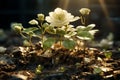 Money blooms in soil, business success nurtured by nature\'s sunshine