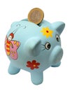 Money-box pig Royalty Free Stock Photo