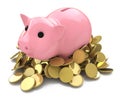 Money Box pig with gold coins Royalty Free Stock Photo