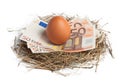 Money and brown egg in nest Royalty Free Stock Photo