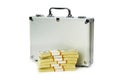 Money in the case isolated Royalty Free Stock Photo