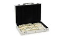 Money in the case isolated Royalty Free Stock Photo