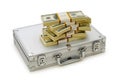 Money in the case isolated Royalty Free Stock Photo