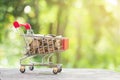 Money coin in mini shopping cart or trolley against blurred natural green background