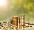 Money coin stack growing graph Royalty Free Stock Photo