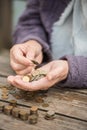 Money, coins, the grandmother on pensions and a concept of a living minimum - in hands of the old woman isn`t enough money Royalty Free Stock Photo