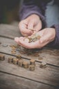 Money, coins, the grandmother on pensions and a concept of a living minimum - in hands of the old woman isn`t enough money Royalty Free Stock Photo