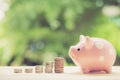 Money coins stack growing graph and piggy bank. Royalty Free Stock Photo