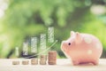 Money coins stack growing graph and piggy bank nature background. Royalty Free Stock Photo