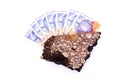 South African money on tar Royalty Free Stock Photo