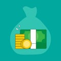 Money concept ,bundles of money ,coins and banknotes,vector ,illustration