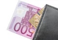 Money, credit card inside the purse. Royalty Free Stock Photo