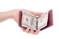 Money dollar clip for money purse in hand Royalty Free Stock Photo