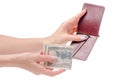 Money dollar clip for money purse in hand Royalty Free Stock Photo