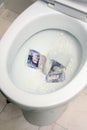 Money down the drain Royalty Free Stock Photo