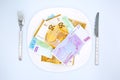 Money Euro cash on plate with fork and knife on white