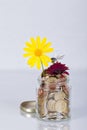 Money flowers in a glass jar full of euro coins