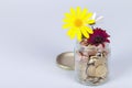 Money flowers in a glass jar full of euro coins