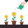 Money flowers growing up. Hand watering money flowers vector illustration.