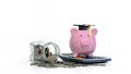 Money flows out of storage bottles and graduate caps placed on piggy banks on white background. Royalty Free Stock Photo