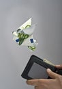 Money flying away Royalty Free Stock Photo