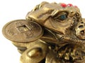 Money Frog