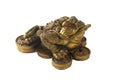 Money Frog - Feng Shui Item for Business Wealth