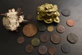 Money frog with old coins.