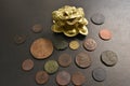 Money frog with old coins.